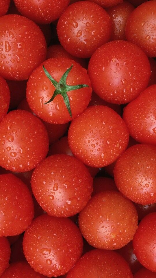 فوائد الطماطم الصحية والغذائية كنز غذائي يعزز المناعة ويحسن صحة الجسم